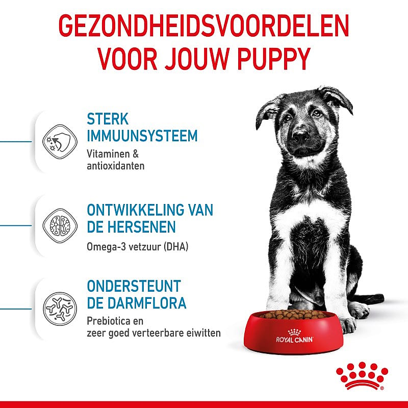 Royal Canin Puppy Maxi