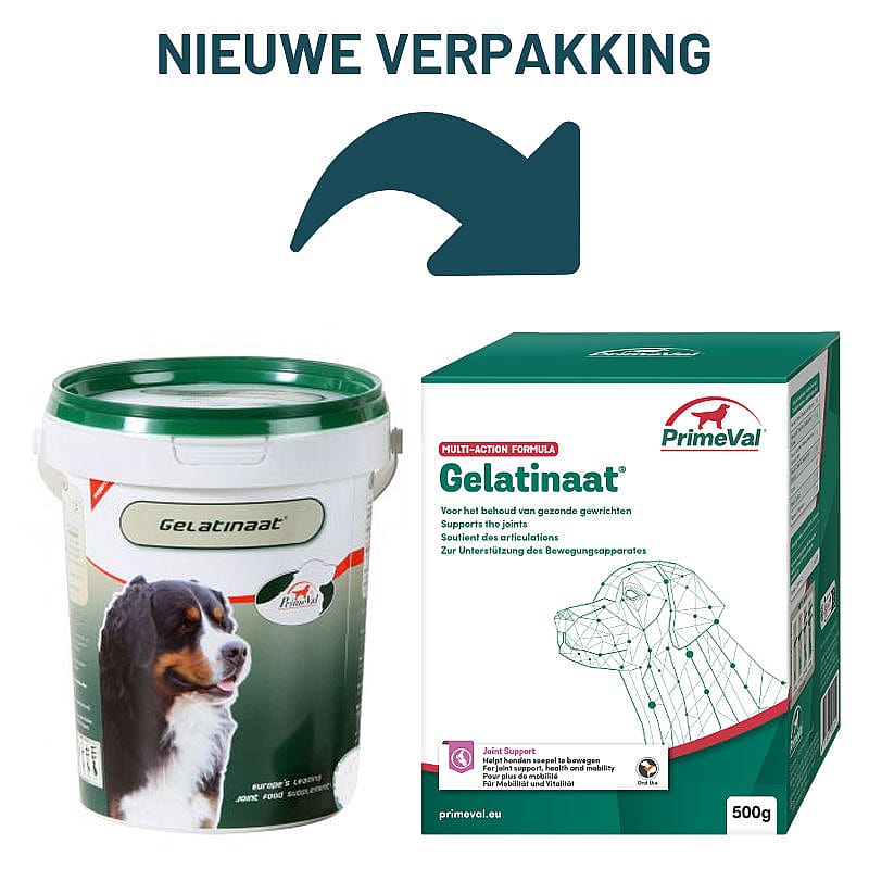 Primeval Gelatinaat Hond