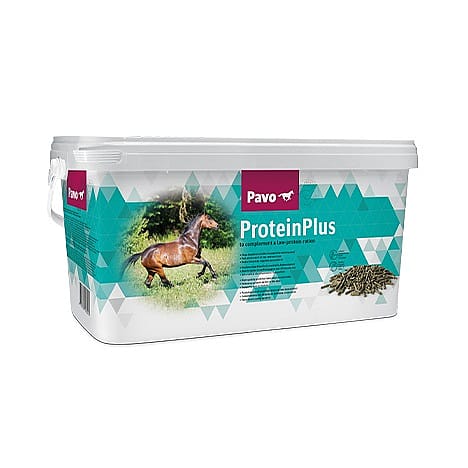 Pavo ProteinPlus Eiwit Paard 7 kg