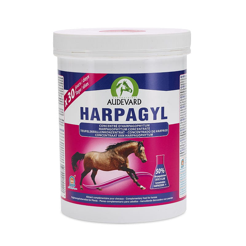 Audevard Harpagyl Spier Bot Paard