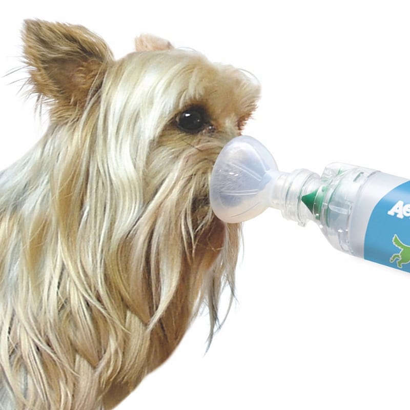 AeroDawg Inhalatiesysteem Pufjes Hond