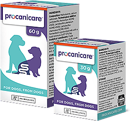 Procanicare Hond