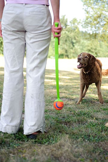 Chuckit Ultra Ball Rubber