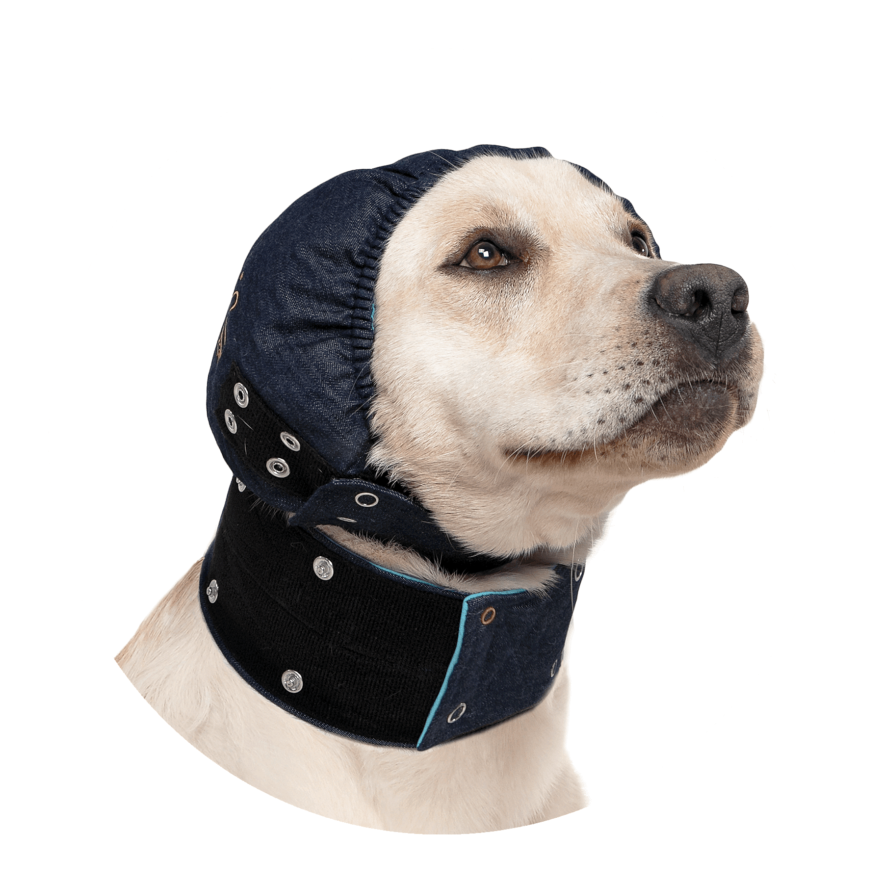 MPS-Head Cover Hond