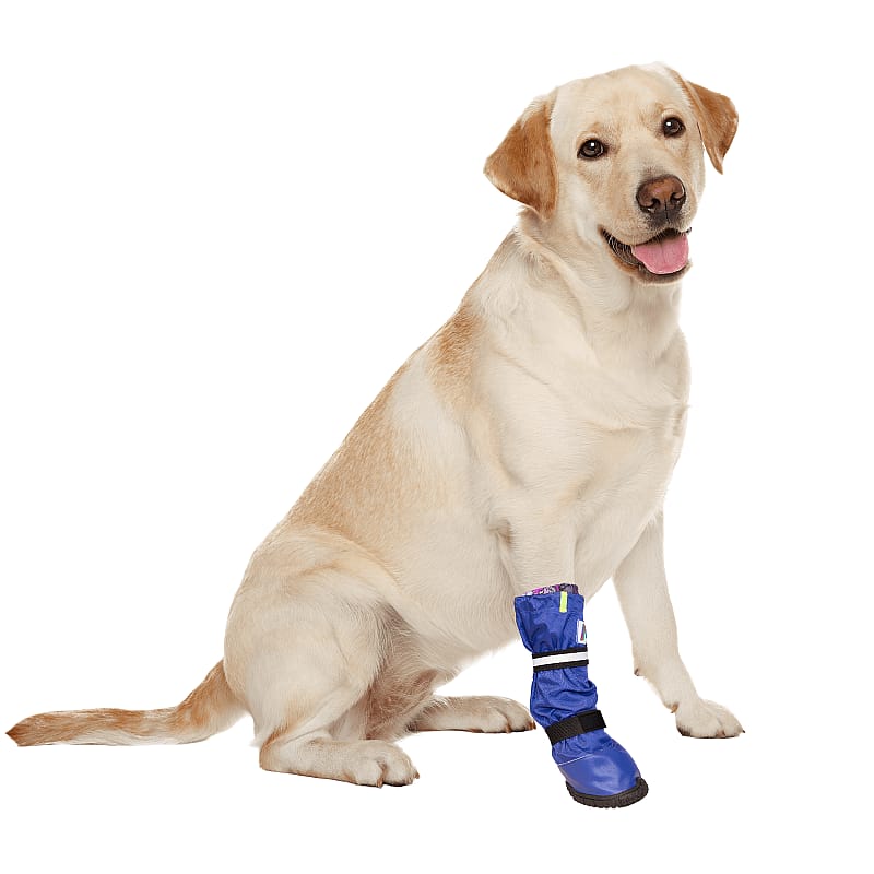 Medical PetS Boot