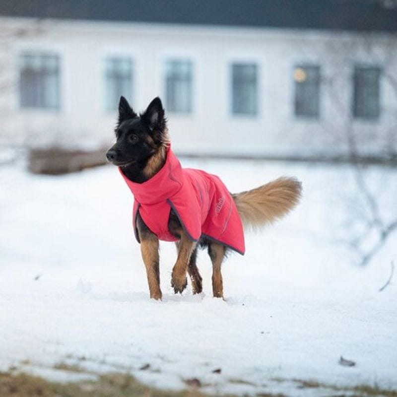 Rukka Windy Thermal Jacket Softshell Jas Hond