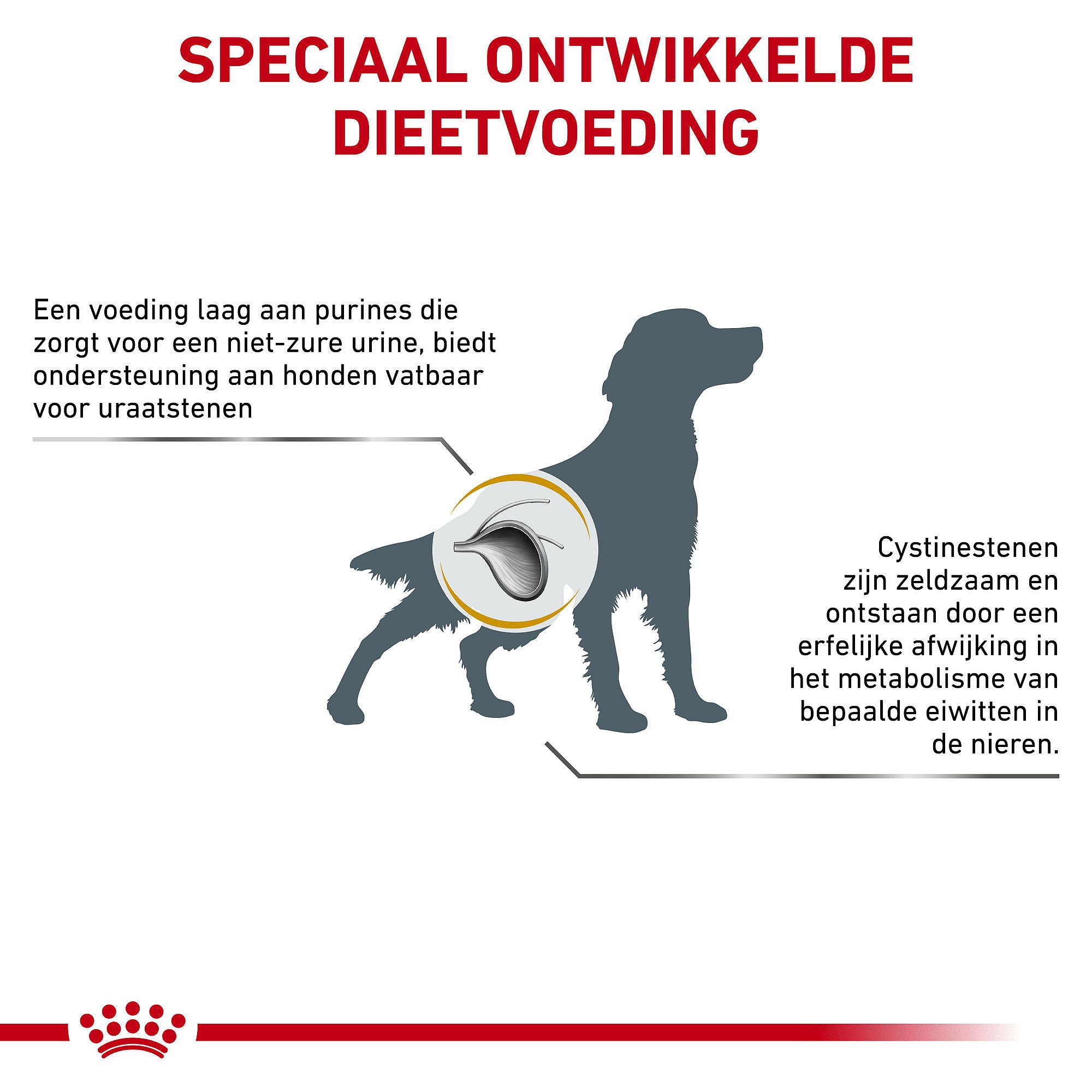 Royal Canin Urinary UC Low Purine Hond