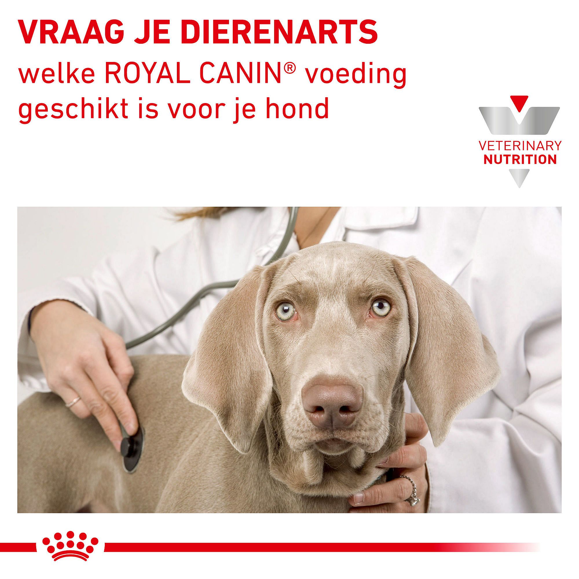 Royal Canin Satiety Hond