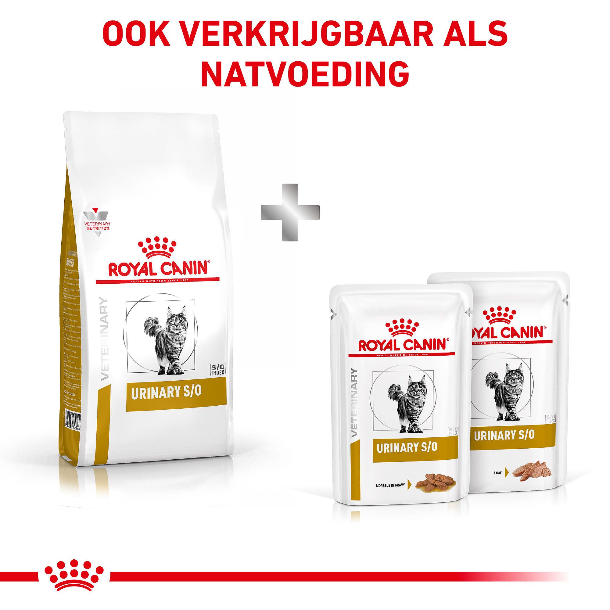 Royal Canin Urinary S/O Kat