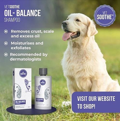 VetSoothe Oil Balance Shampoo Hond Kat