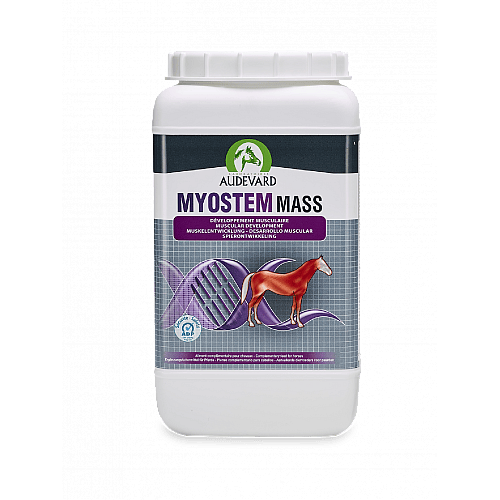 Audevard Myostem Mass Spier Paard