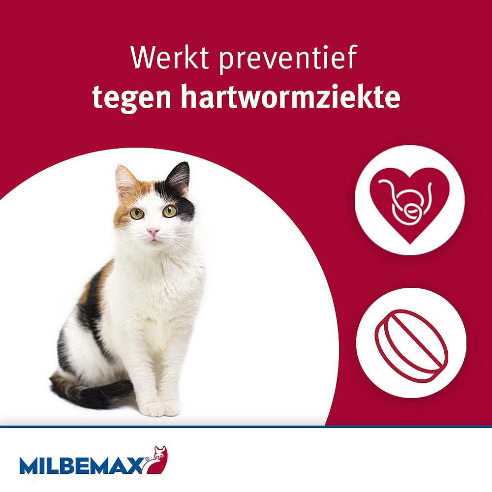 Milbemax Kleine Kat Ontwormingstabletten