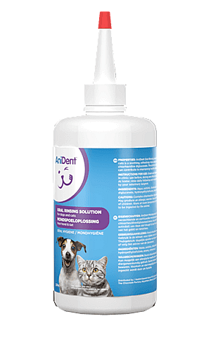 AniDent Mondspoeloplossing Hond Kat 237 ml