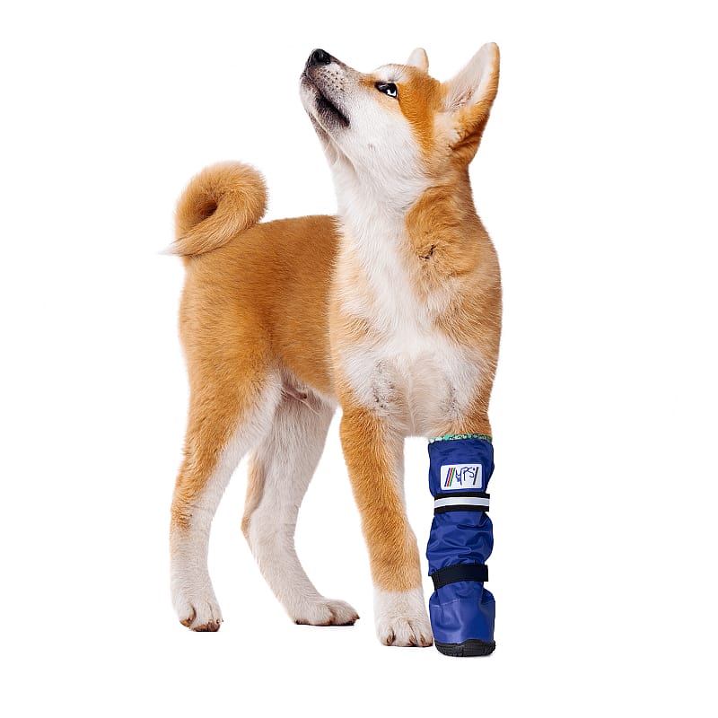 Medical PetS Boot