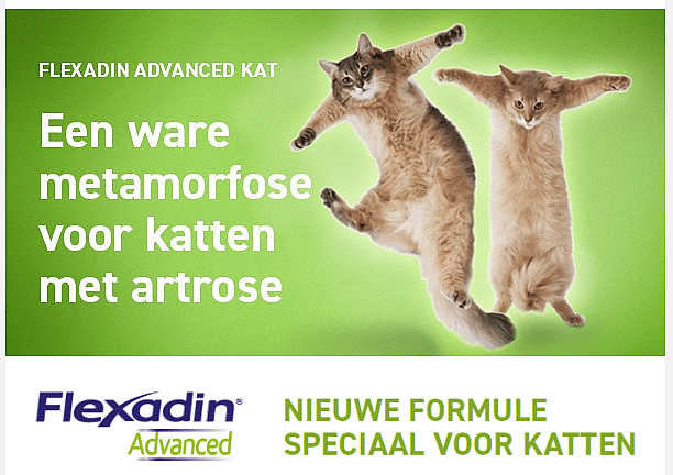 Flexadin Advanced Kat