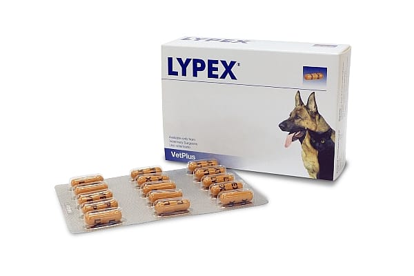 Vetplus Lypex Alvleesklier Hond Kat 60 capsules