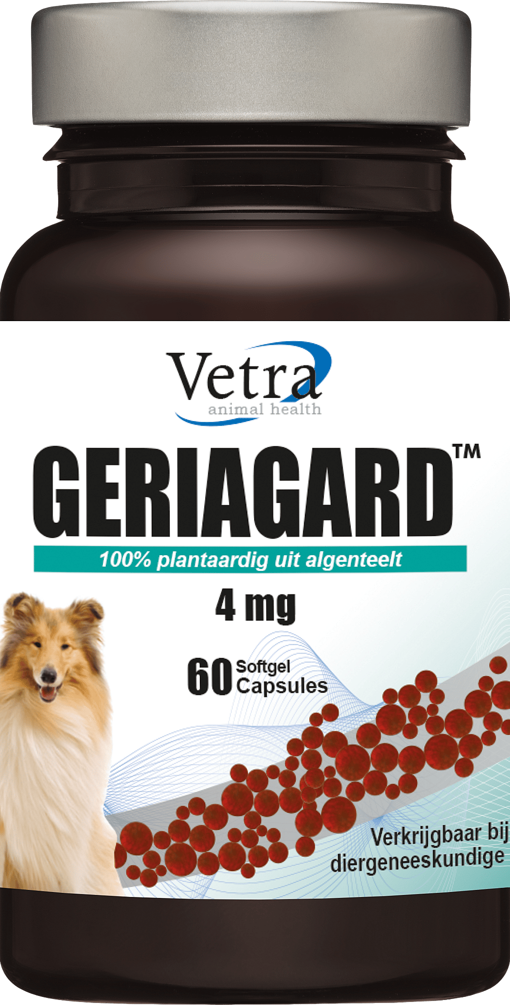 Vetra Geriagard Hond Kat