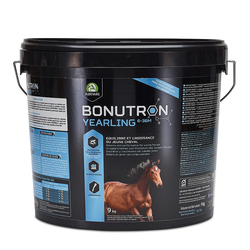 Audevard Bonutron Yearling 6-36m Paard