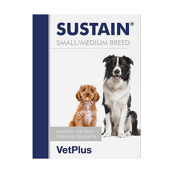 Vetplus Sustain Probiotica Hond