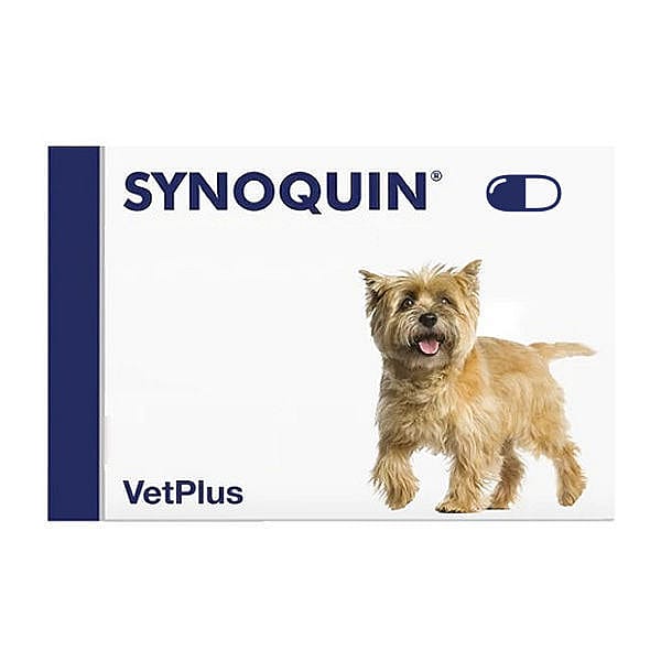 Vetplus Synoquin EFA Gewrichten Hond