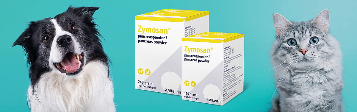 Zymosan Pancreas Alfasan voedingssupplement Hond Kat