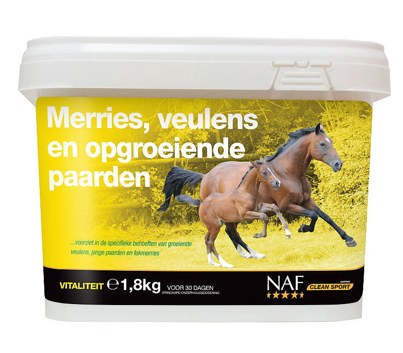 NAF Merries, Veulens en Jonge Paarden