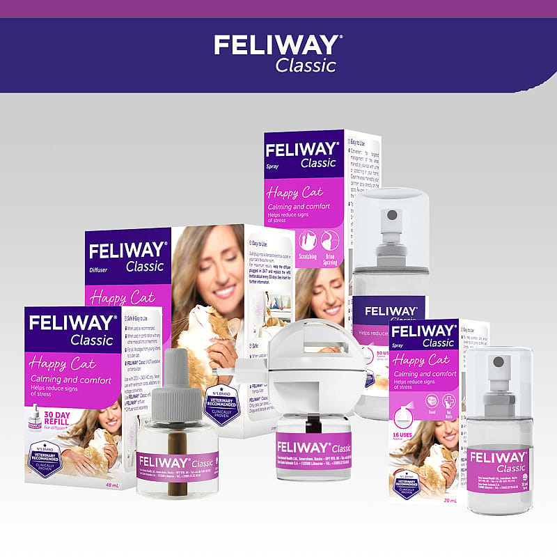 Feliway Verdamper kat