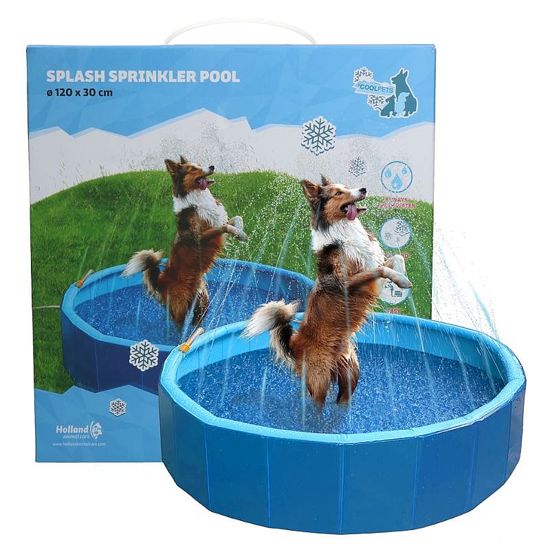 Coolpets Splash Sprinkler Pool Zwembad Hond