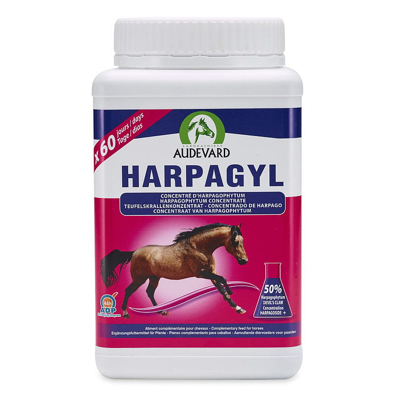 Audevard Harpagyl Spier Bot Paard