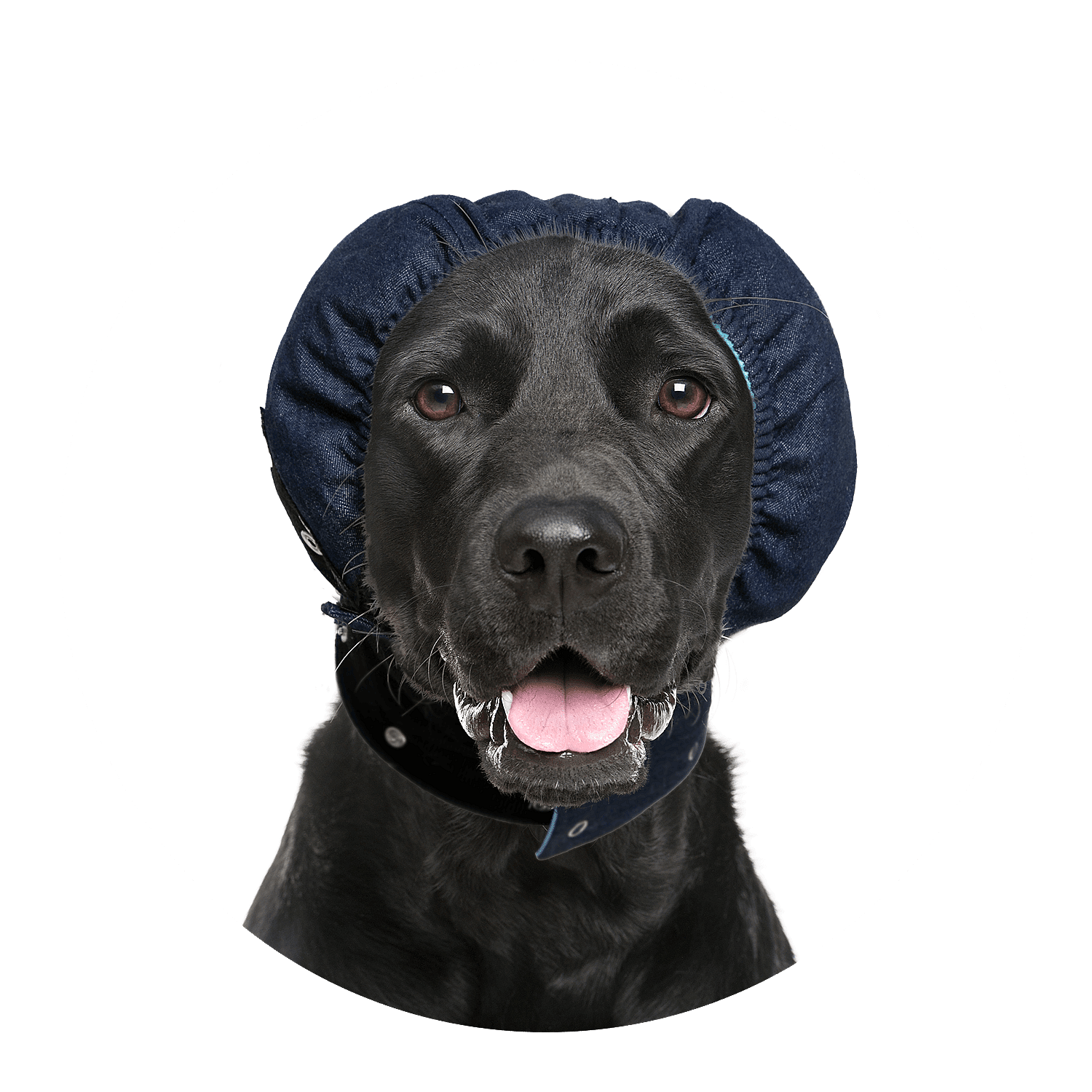 MPS-Head Cover Hond