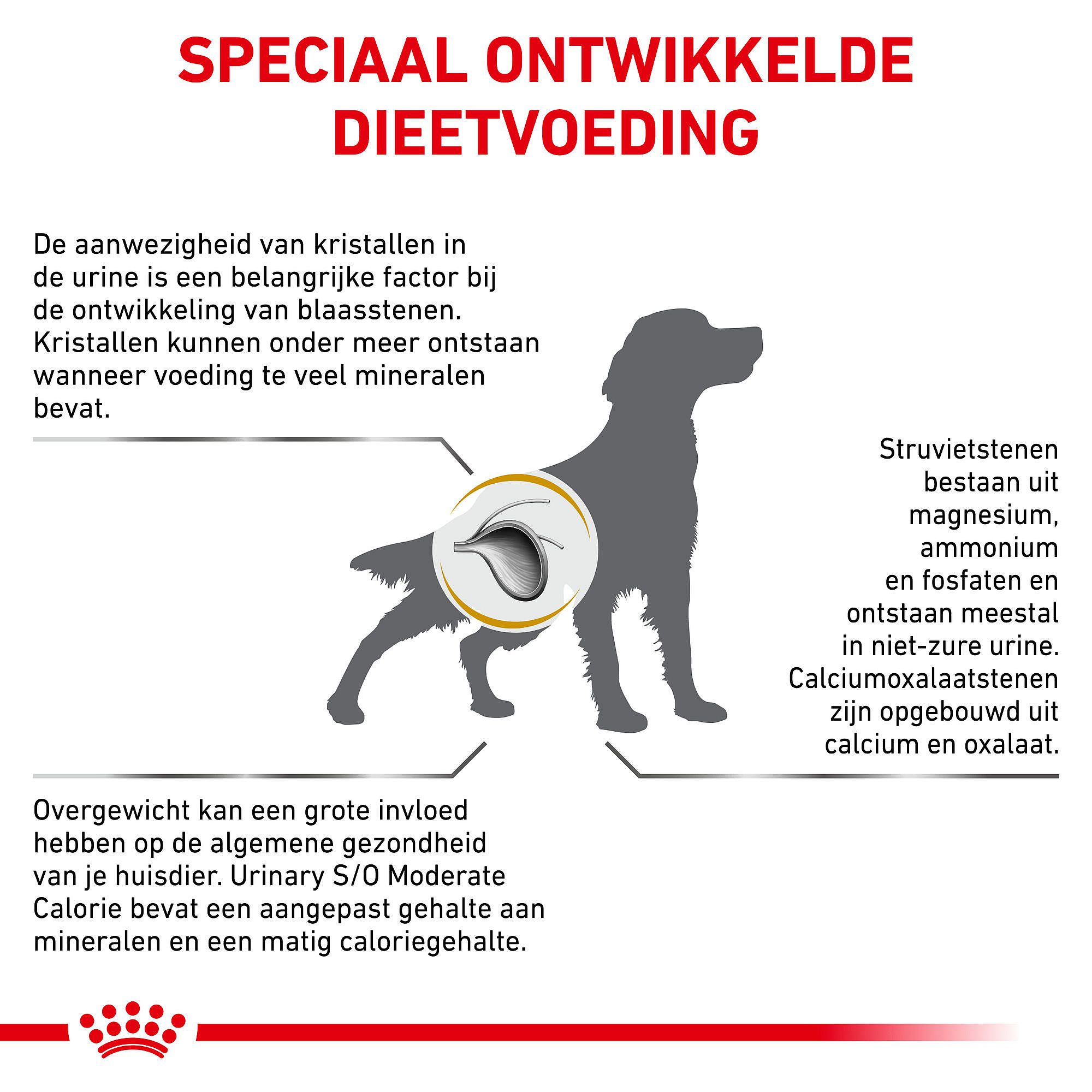 Royal Canin Urinary S/O Moderate Calorie Hond