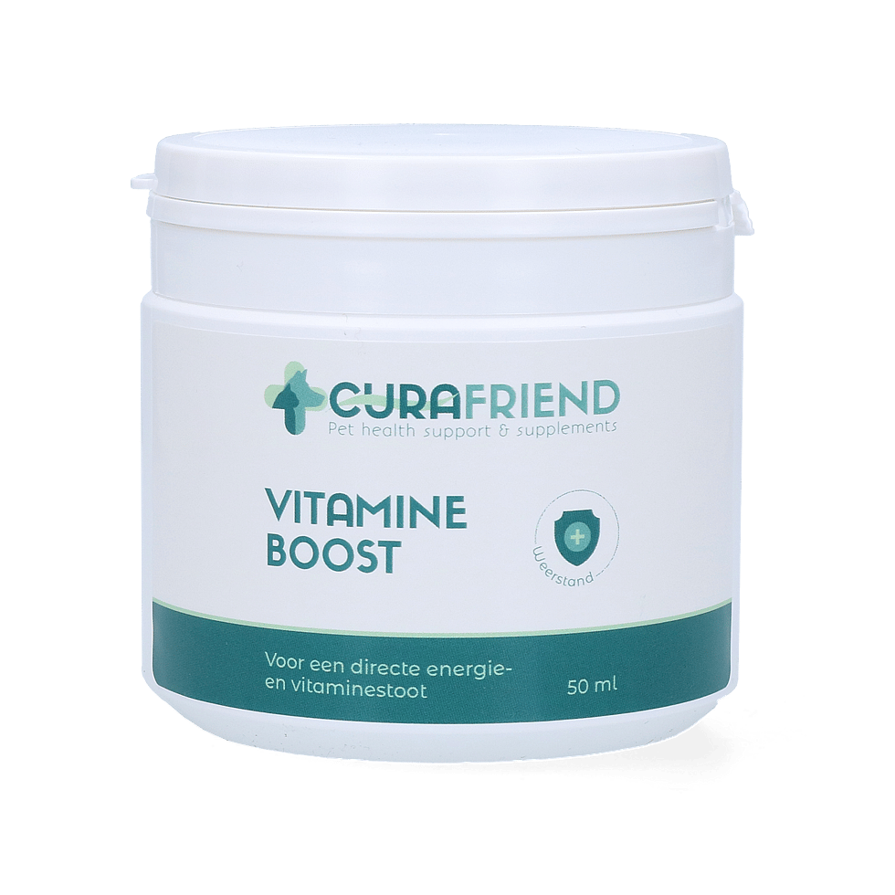 CuraFriend Vitamine Boost Hond 50 ml