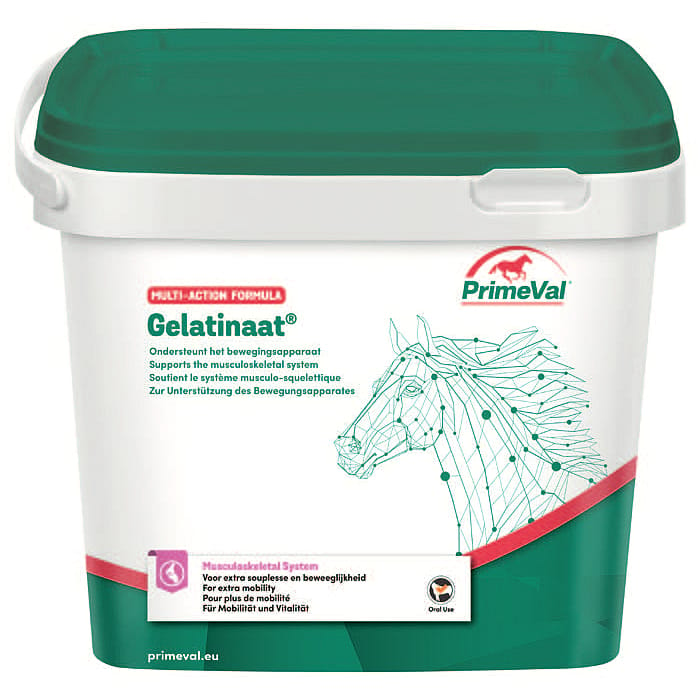 Primeval Gelatinaat Paard