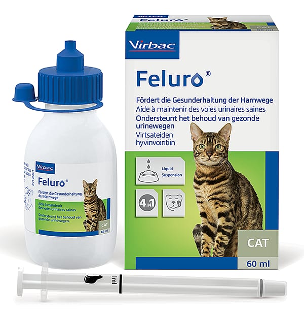 Feluro Urinewegen Kat 60 ml