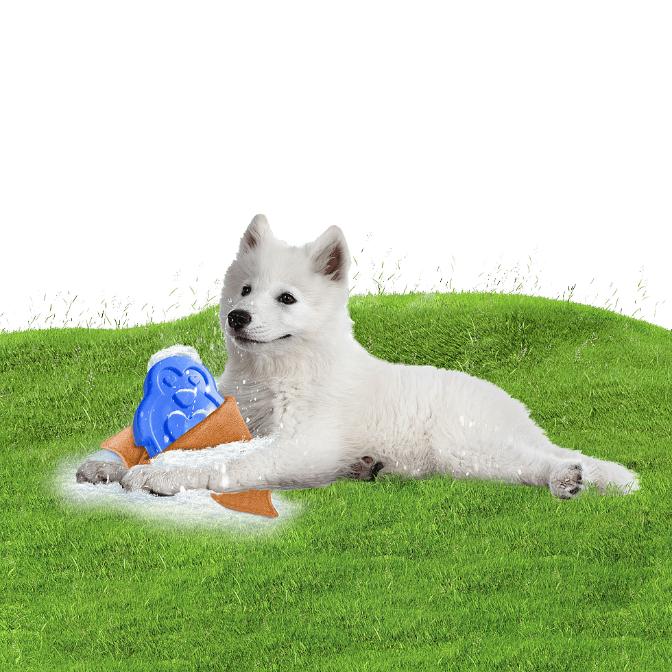 Coolpets Cooling Ice Penguin Hond