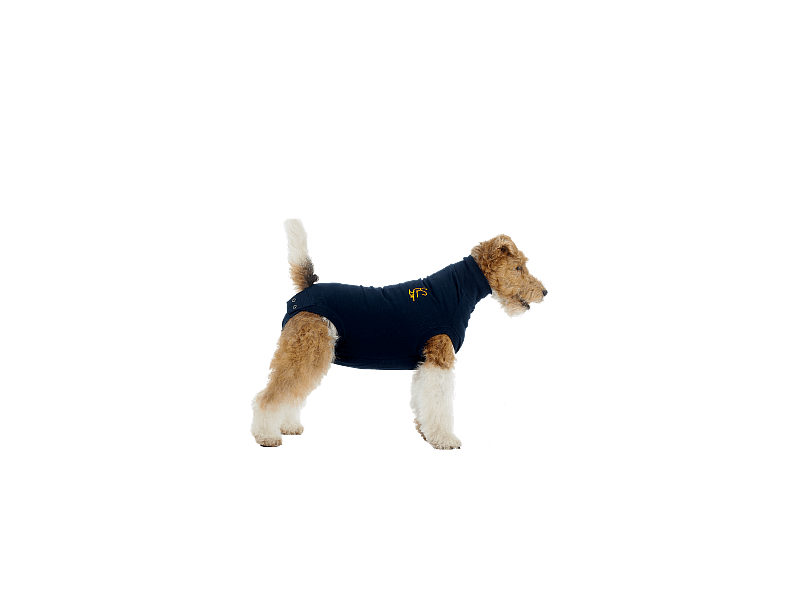 Medical Pet Shirt Hond