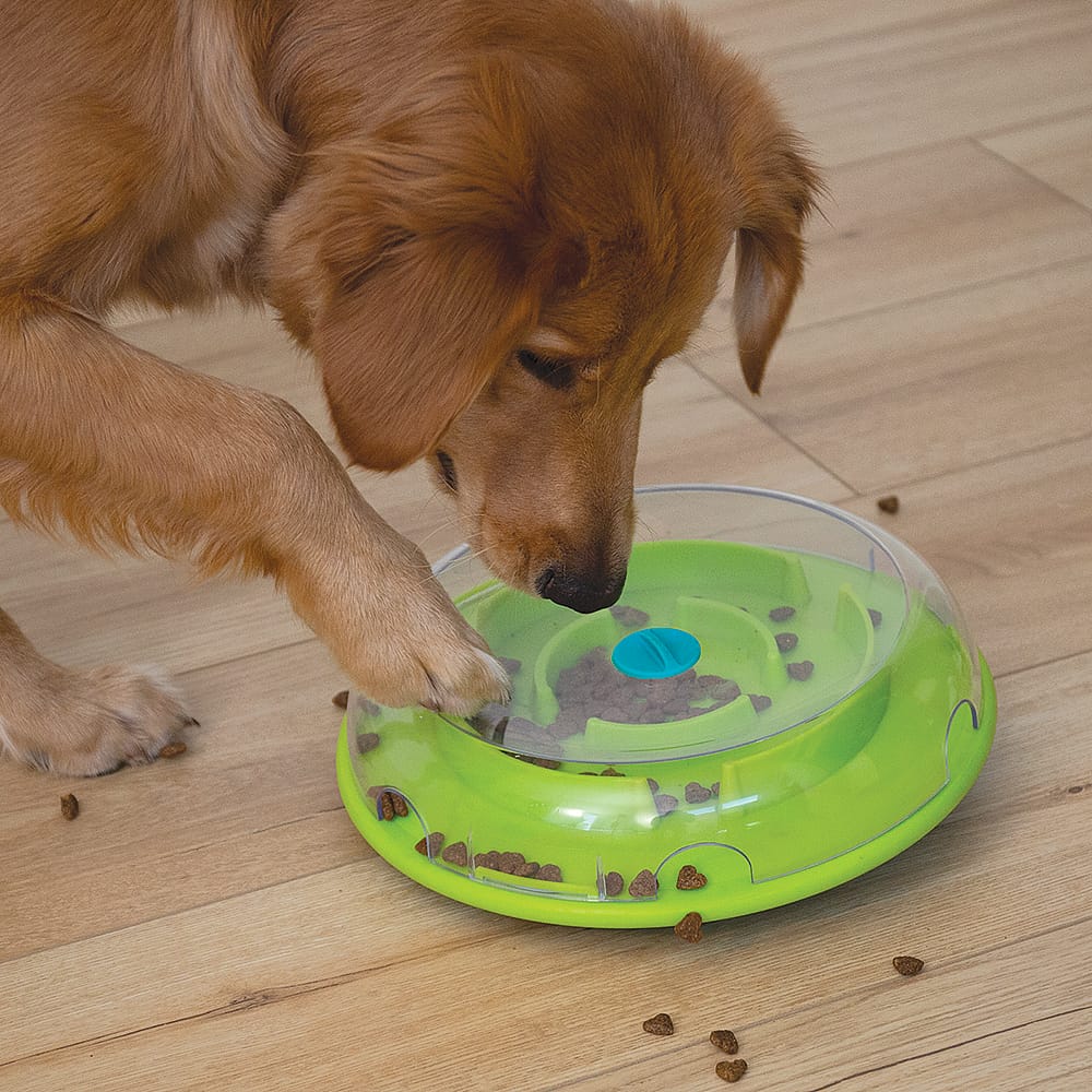 Nina Ottosson Wobble Bowl Hond