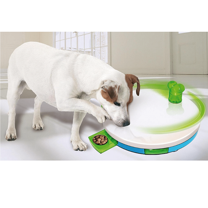 Dog Training Toy