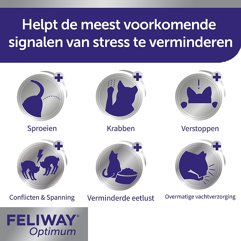 Feliway Optimum