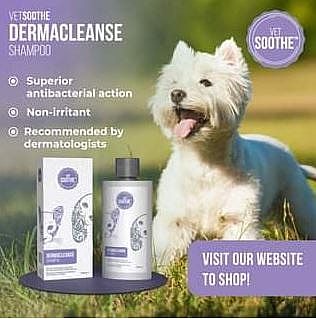 VetSoothe Dermacleanse Shampoo Hond Kat