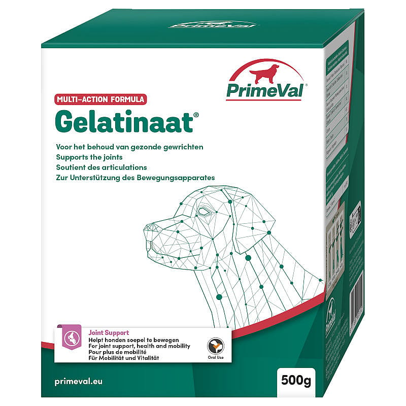 Primeval Gelatinaat Hond