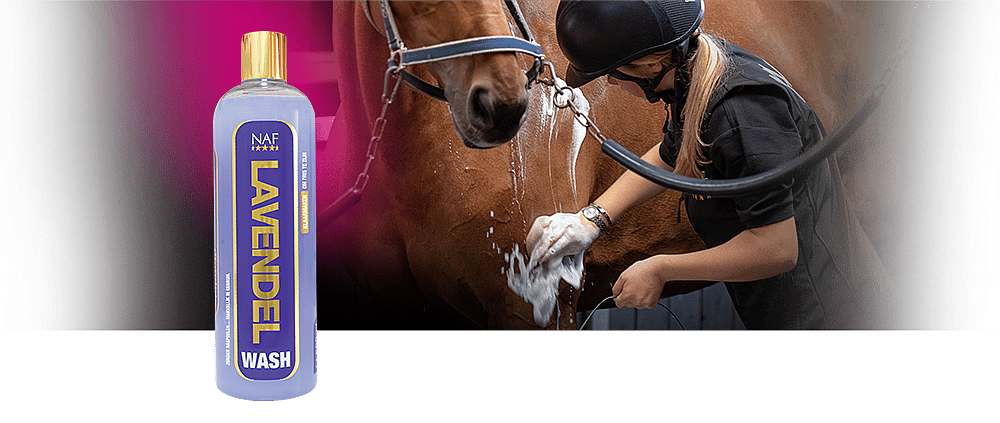 NAF Lavender Wash Paard 500 ml