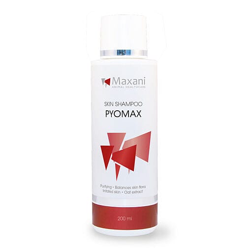 Maxani PyoMax Skin Shampoo Hond Kat Paard 200 ml