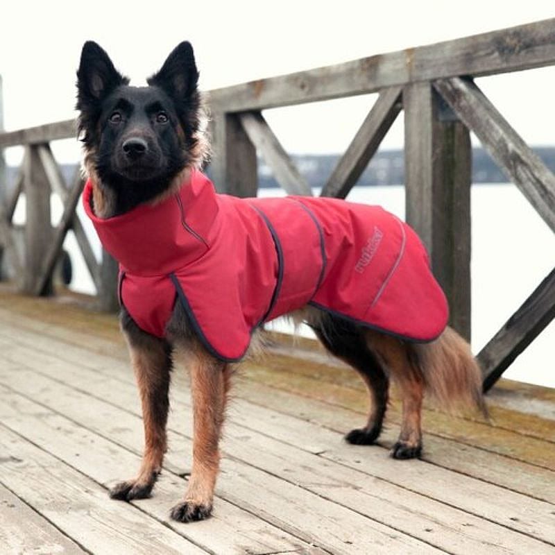 Rukka Windy Thermal Jacket Softshell Jas Hond