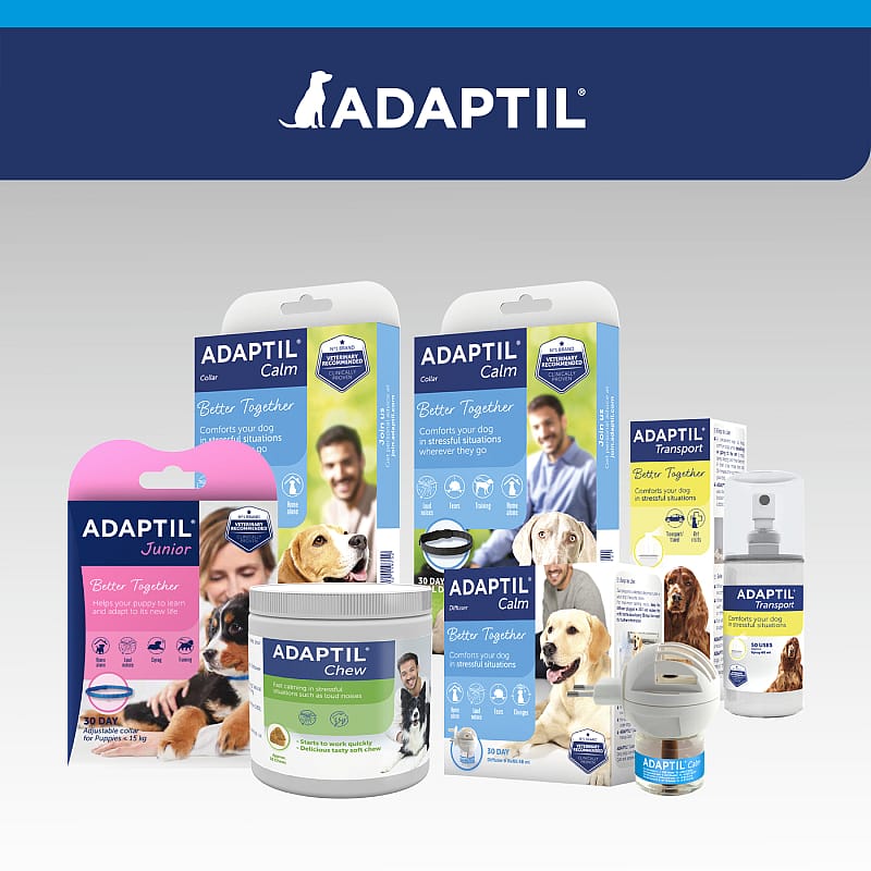 Adaptil Halsband