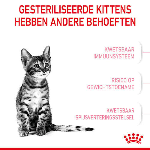 Royal Canin Kitten Sterilised