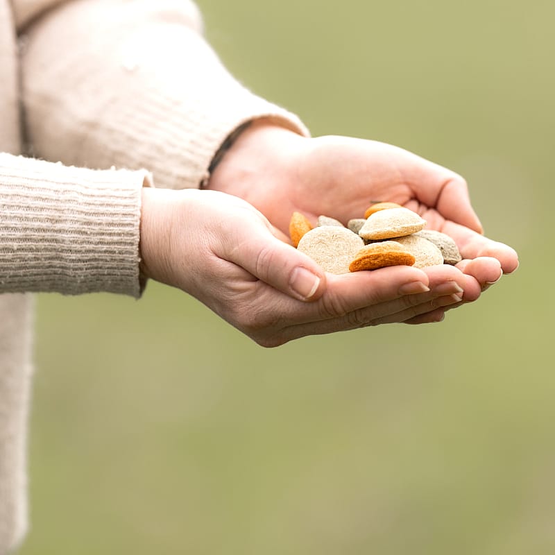 Dierapotheker Paardensnoepjes