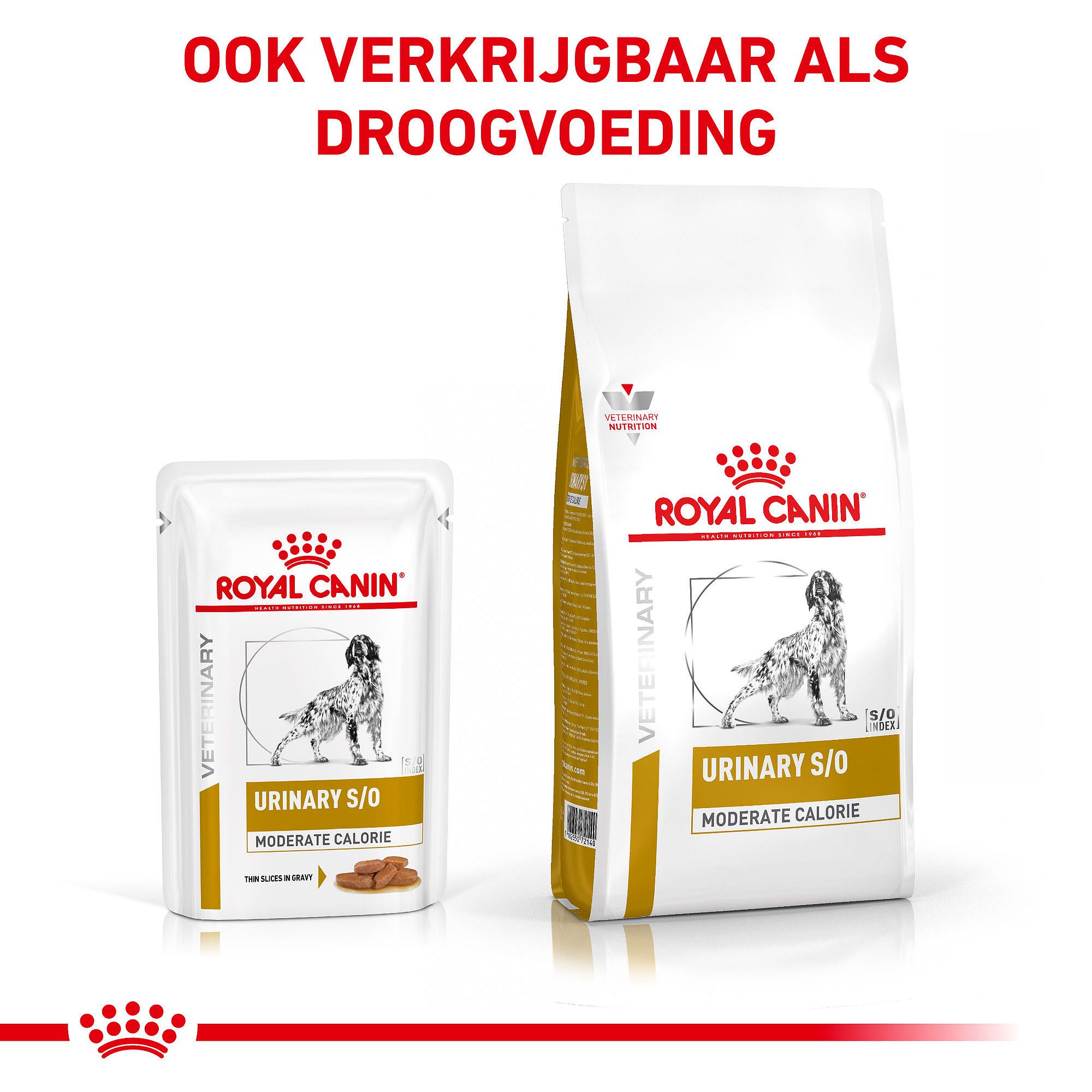 Royal Canin Urinary S/O Moderate Calorie Hond