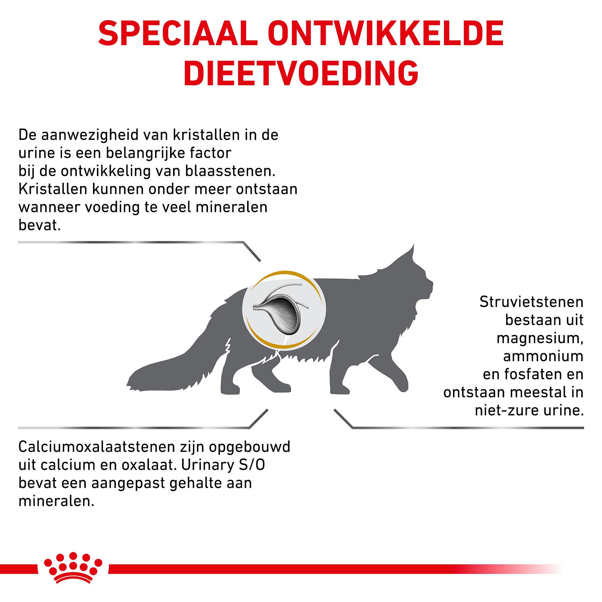 Royal Canin Urinary S/O Kat