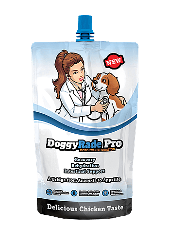 DoggyRade Pro Rehydratie Hond 500 ml